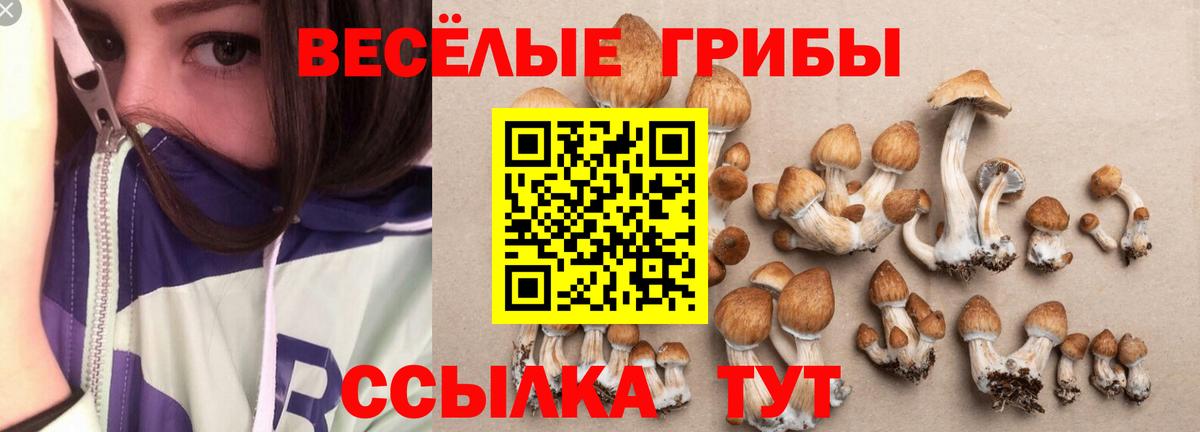 Псилоцибиновые грибы Magic Shrooms Мирный